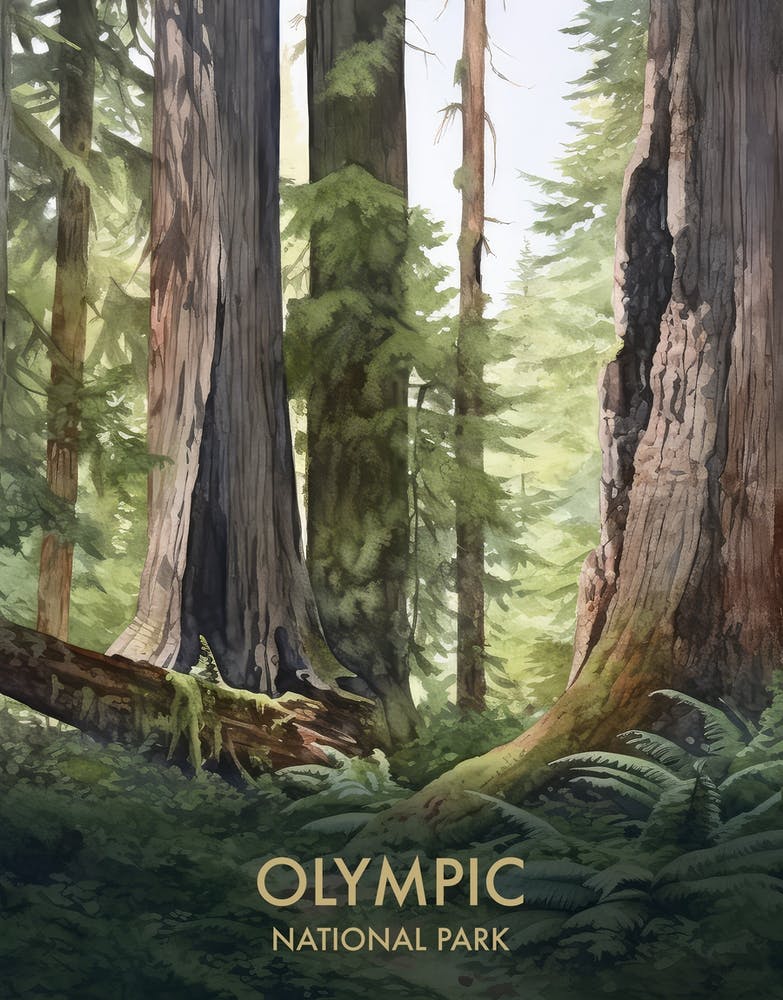 Olympic National Park Watercolour Vintage Travel Poster 3