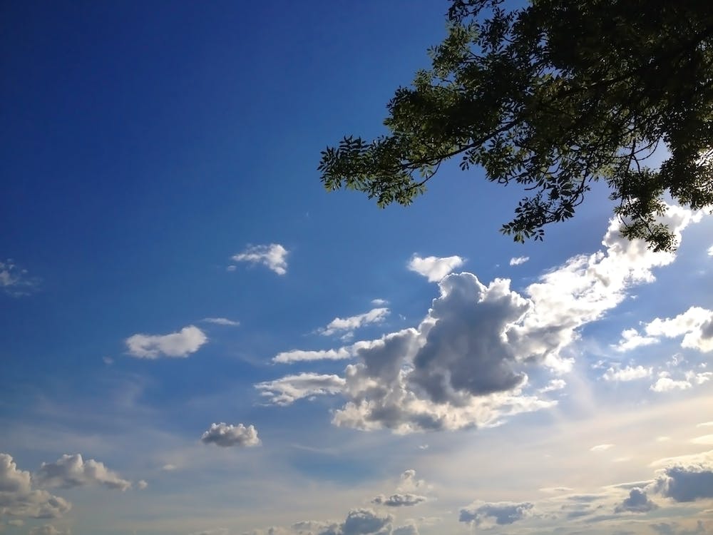 Blue Sky With Clouds and Tree