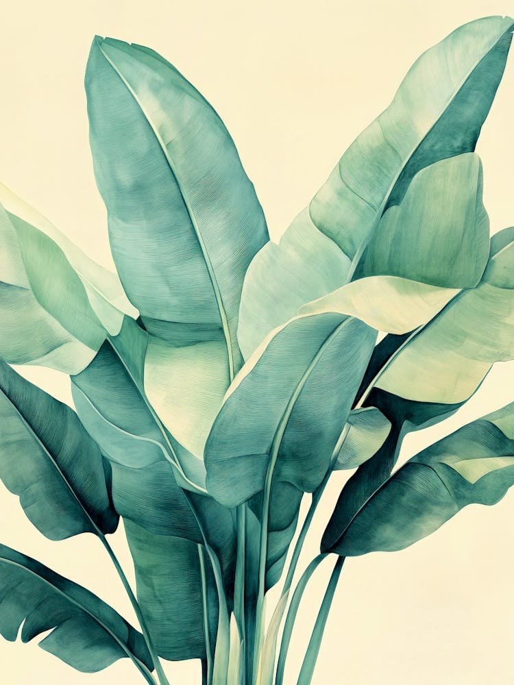 Banana Leaves