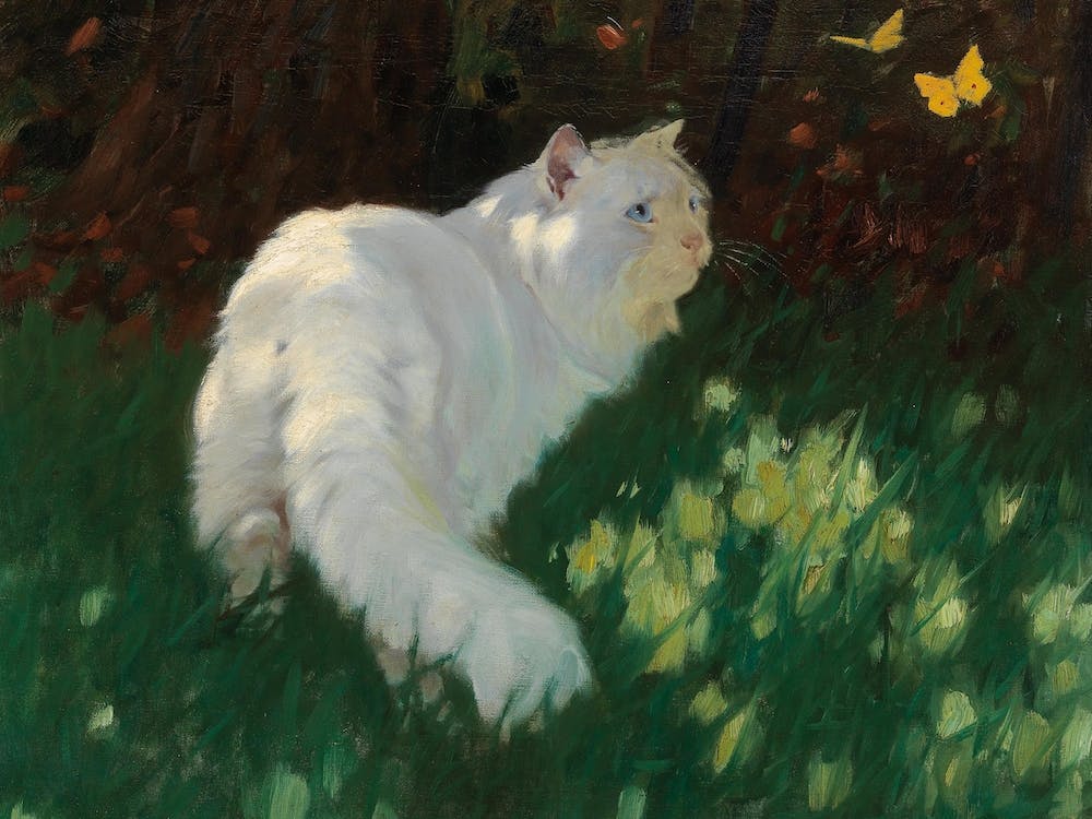 White Cat And Butterflies, Arthur Heyer