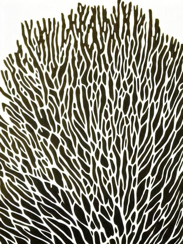 Acropora Jacquelineae Linocut