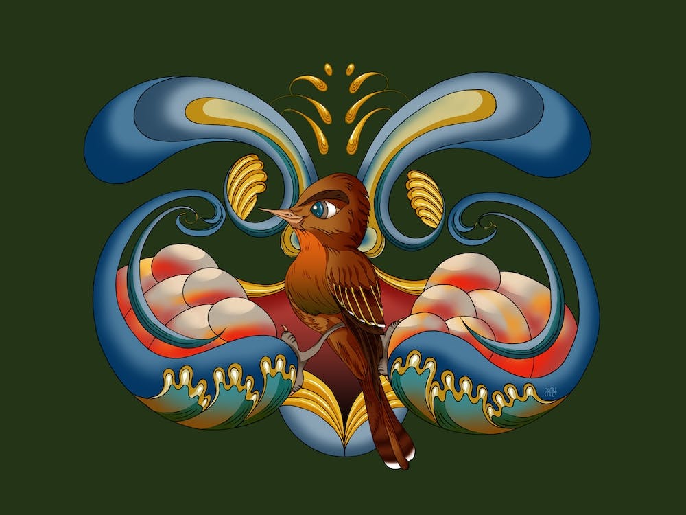 Robin Splash