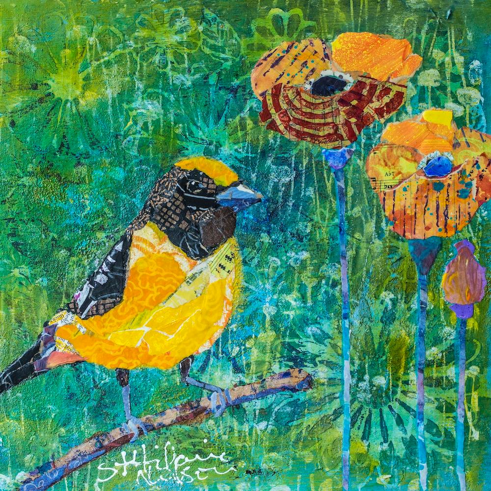 Finch With Purple Stem Poppies Flowers In Green Nature Square