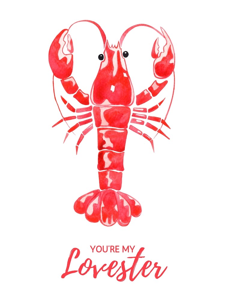 You Are My Lovester Lobster Valentines Gift