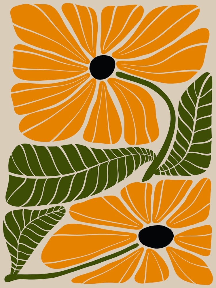 Orange Daisy
