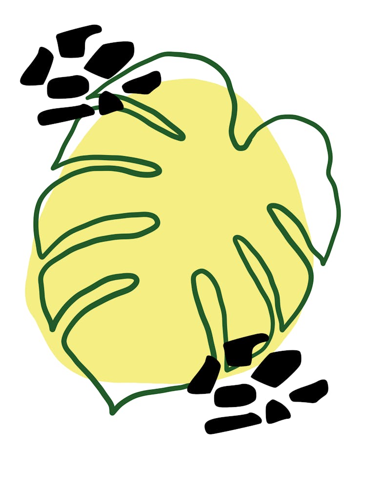 Monstera Leaf