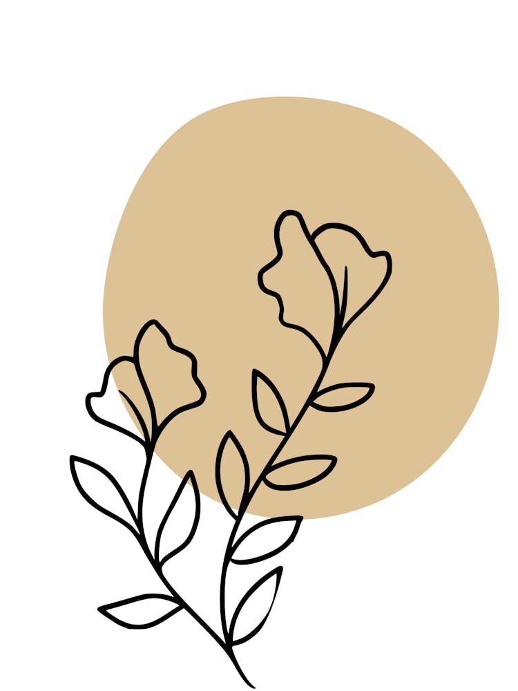 Flower Vector Illustration