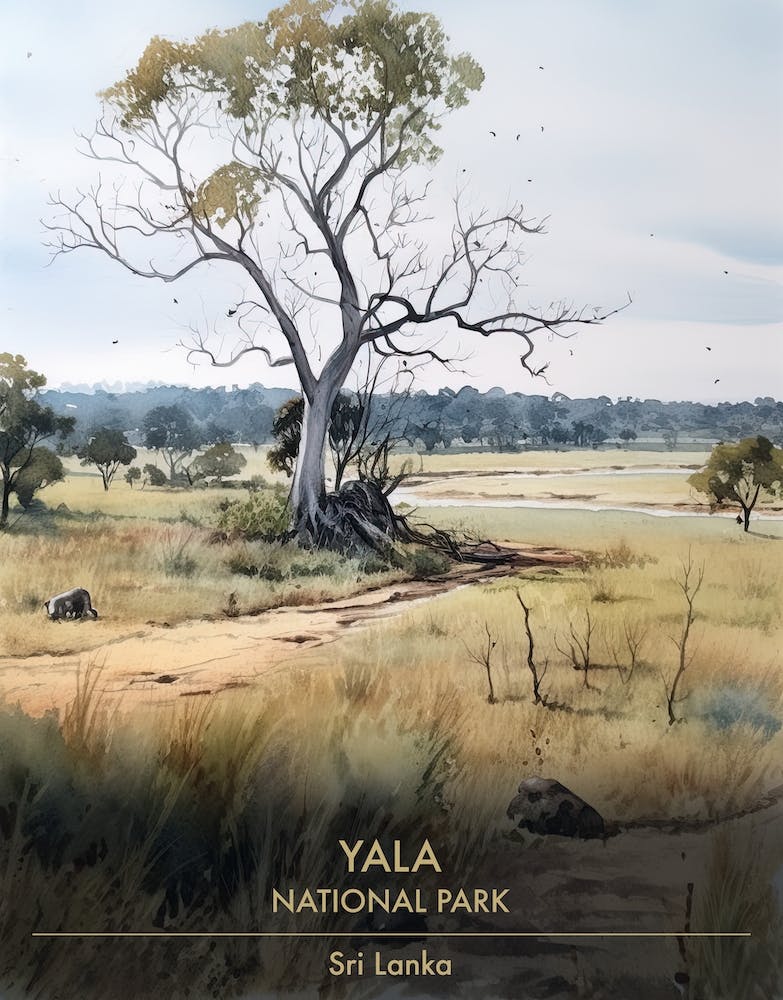 Yala National Park Sri Lanka Watercolour 2