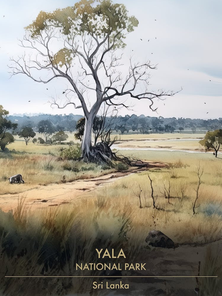 Yala National Park Sri Lanka Watercolour 2