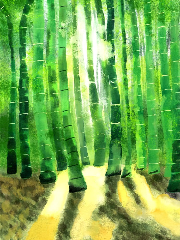 Bamboo tree in the forest with sunlight