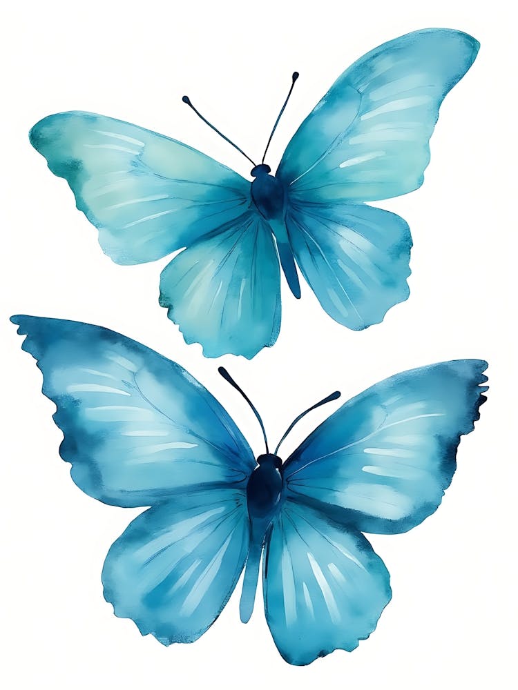 Blue Butterfly
