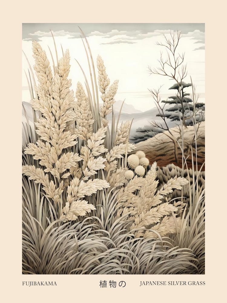 Fujibakama Japanese Silver Grass 2 Vintage Japanese Botanical Poster