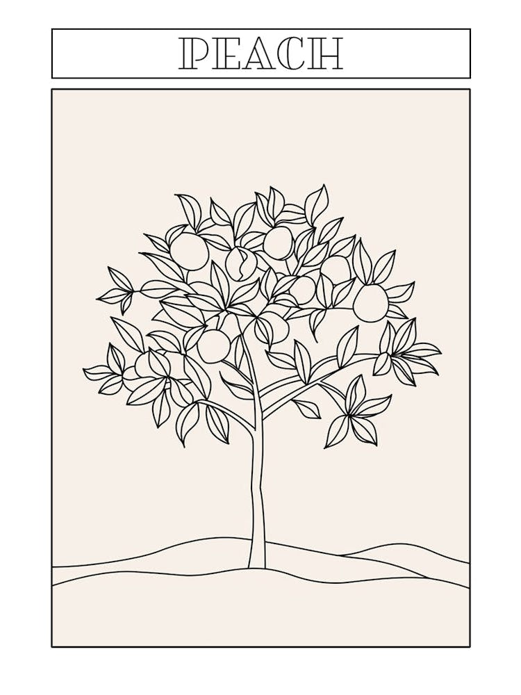 Peach Tree Minimalistic Drawing 2 Poster