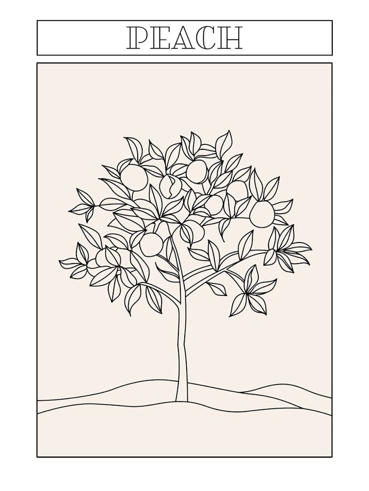 Peach Tree Minimalistic Drawing 2 Poster