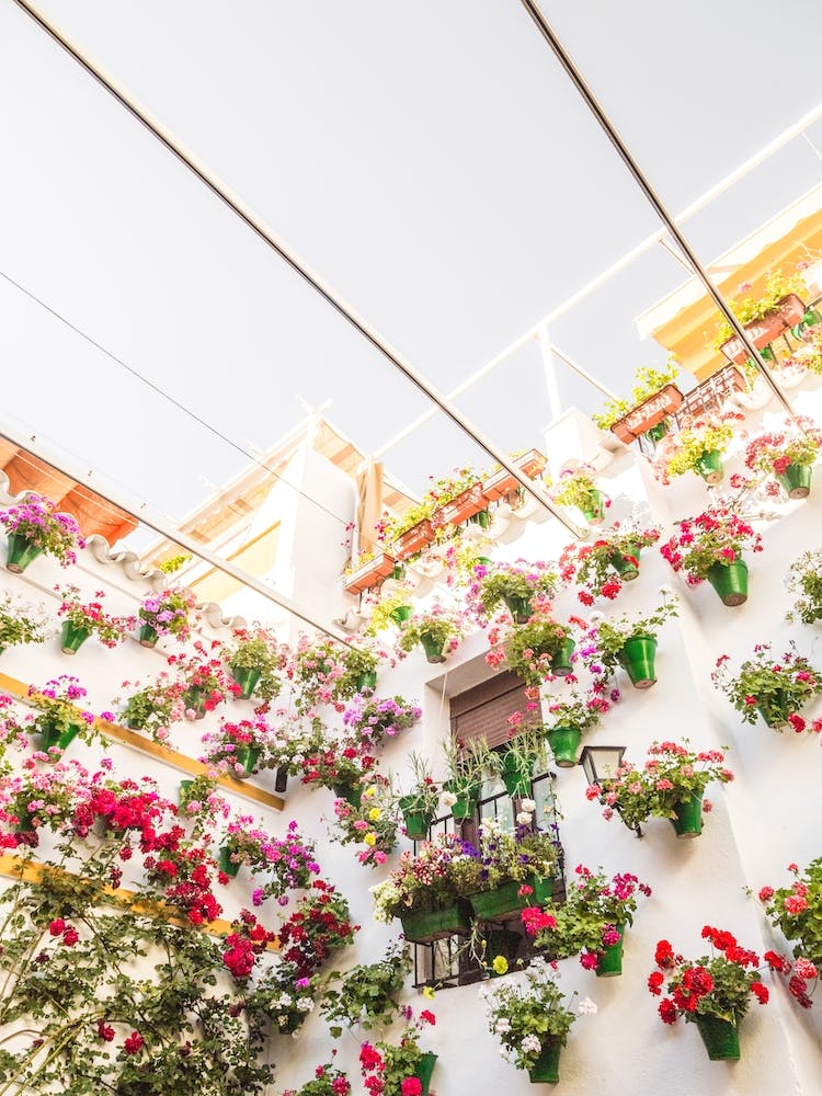 Fiesta De Los Patios 