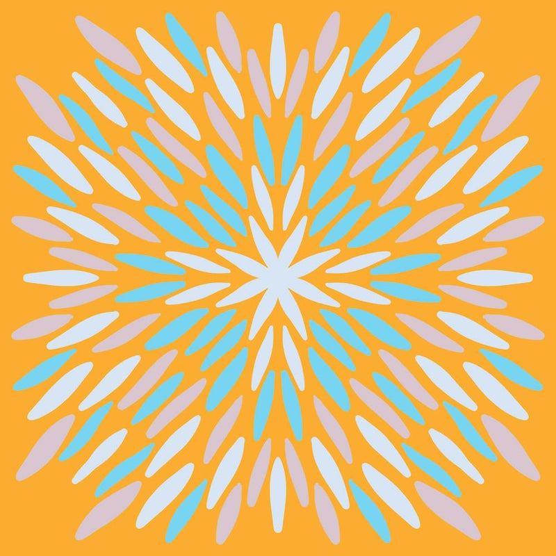 Petal Burst - orange and blue