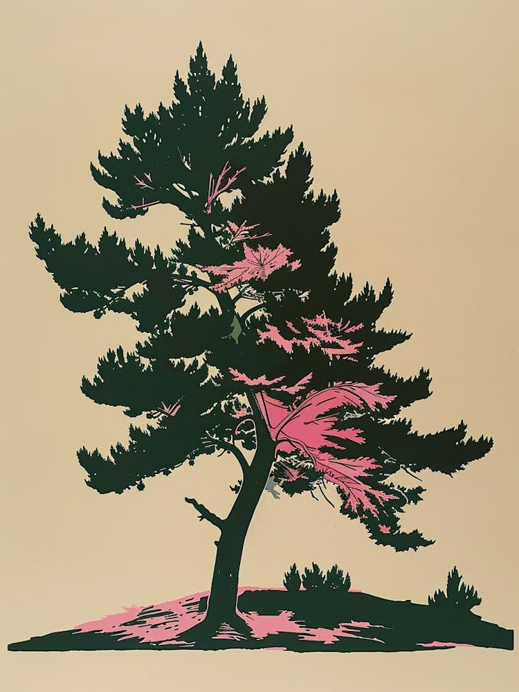 Juniper Tree Colourful Illustration 1