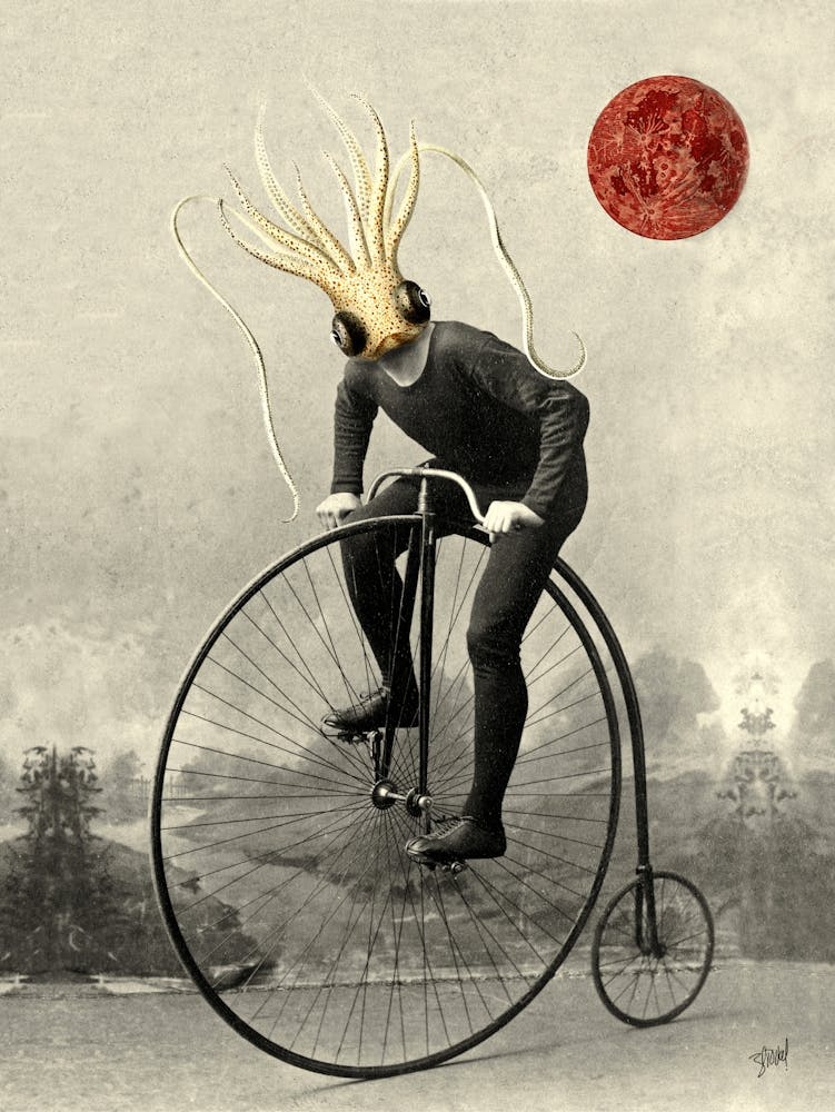 Octopus On A Bicycle