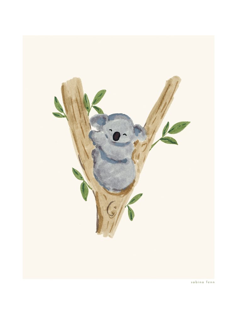 Koala