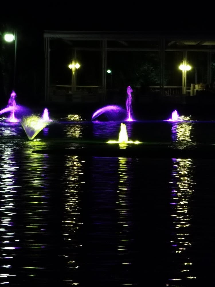 Fountains At Night
