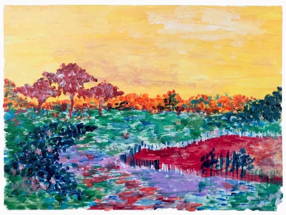 Sabana Sunset