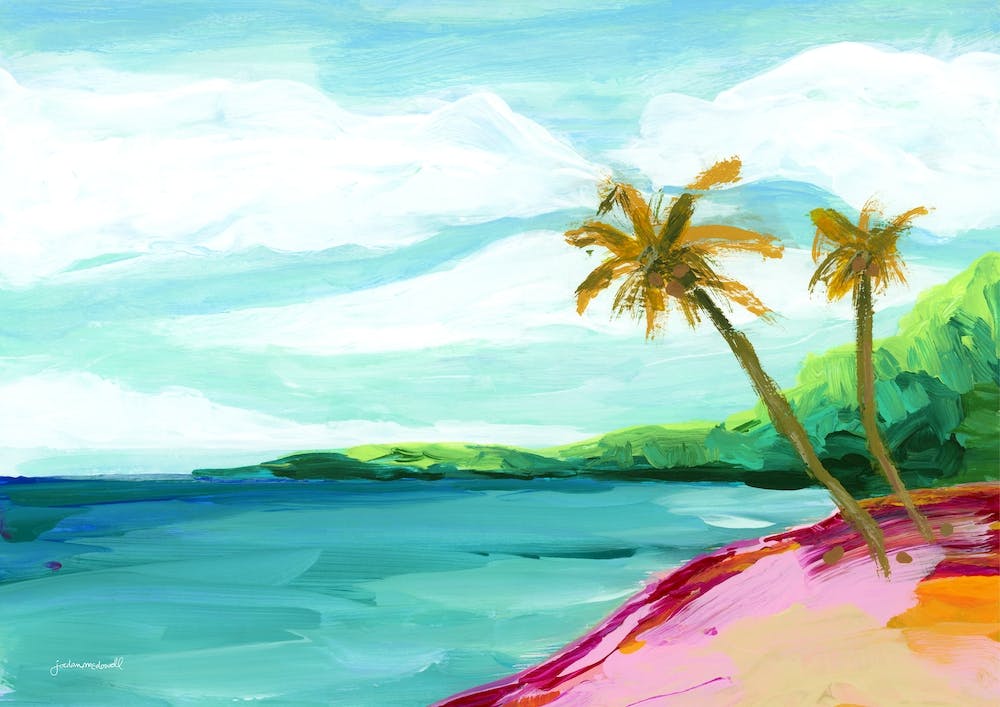 Palm Tree Coconuts Beach Landscape
