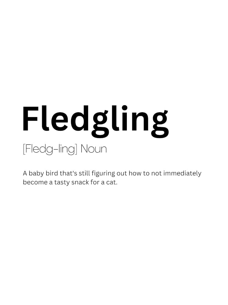 Fledgling Definition Meaning