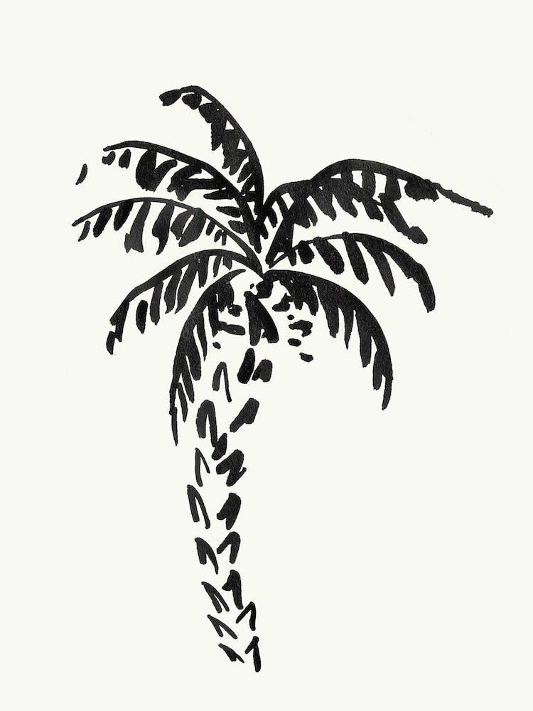 Black Palm Tree 2