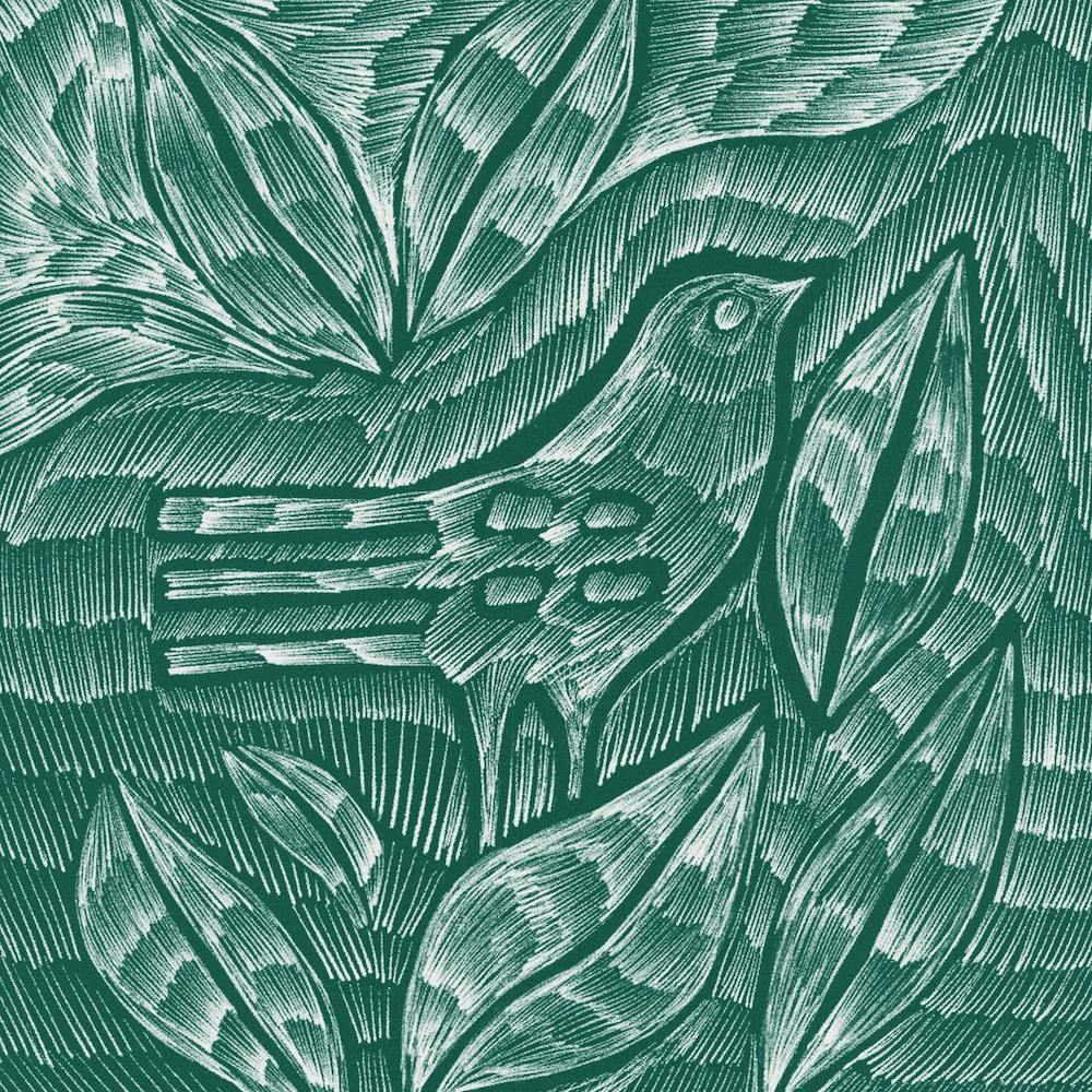 Desert Bird 2