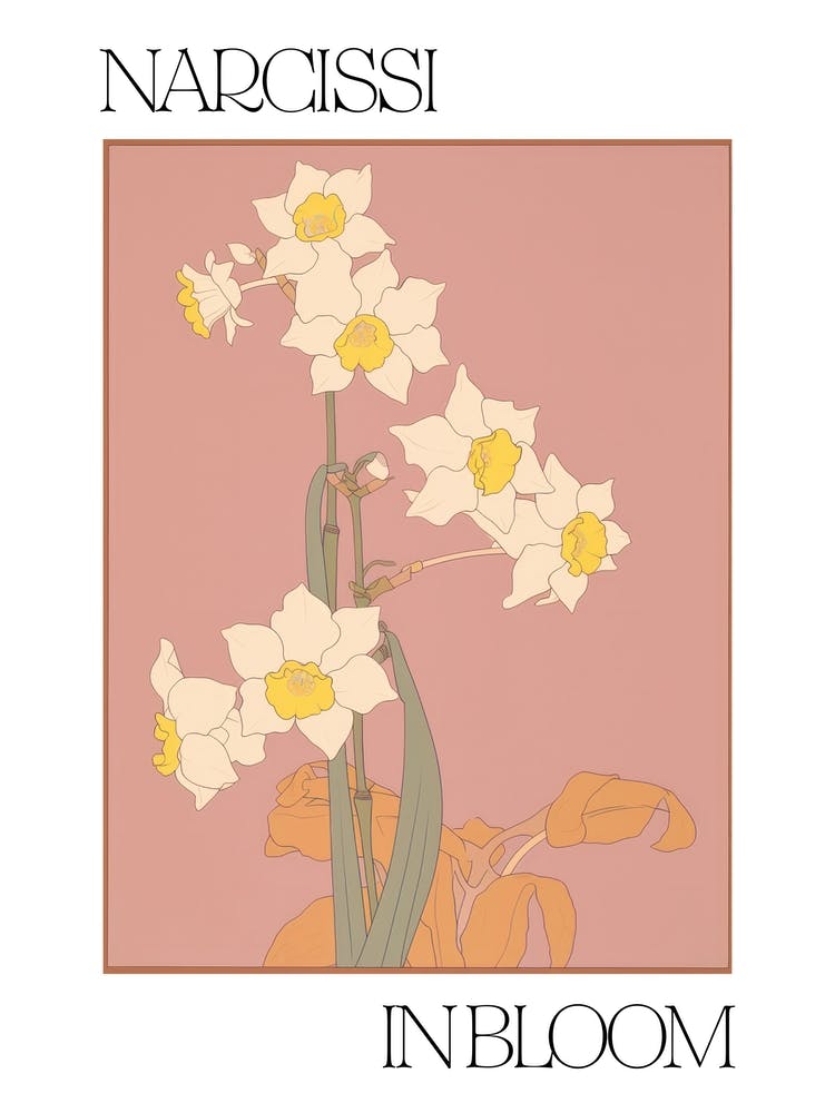 Narcissi In Bloom Flowers Bold Illustration 4