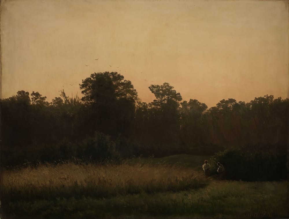 Sunset In The Woods