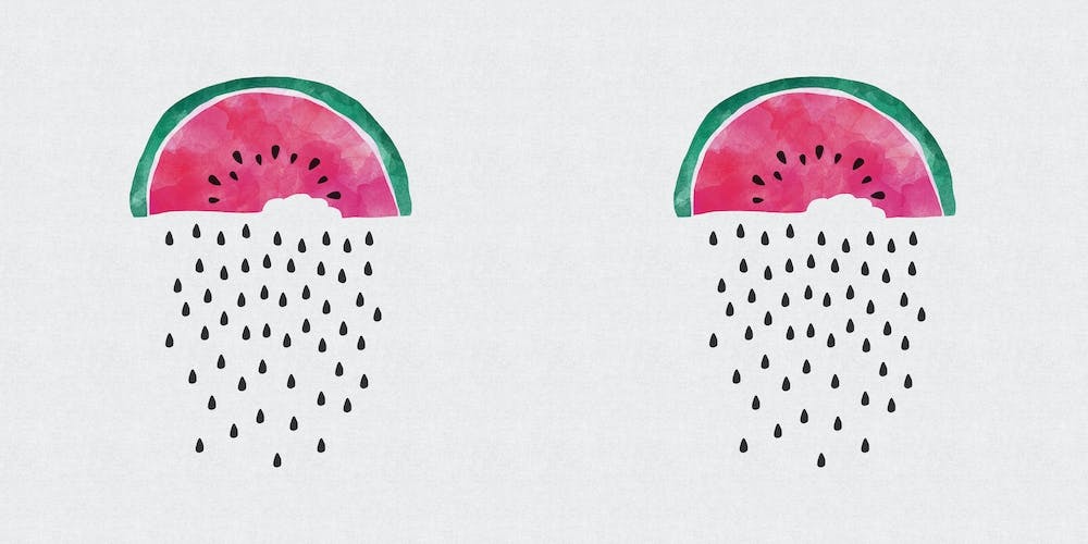 Watermelon Rain