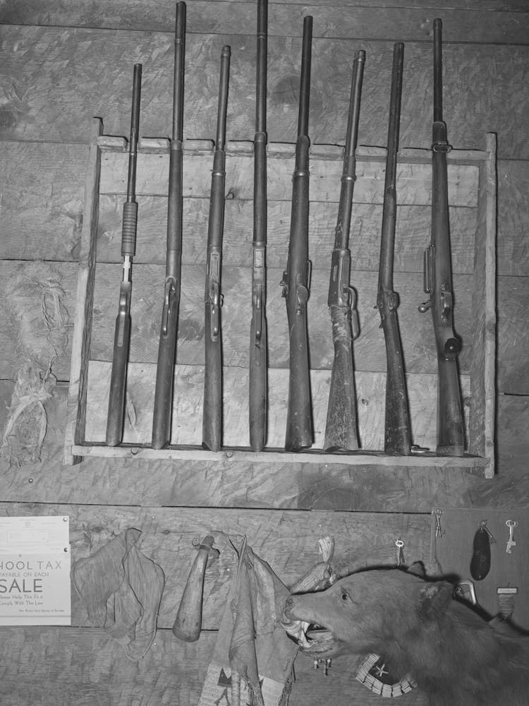 Rack Of Guns In Navajo Lodge, Datil, New Mexico By Russell Lee