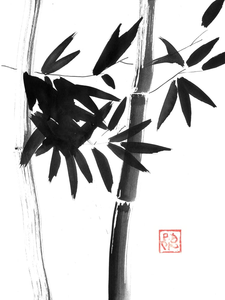 Full Bamboo