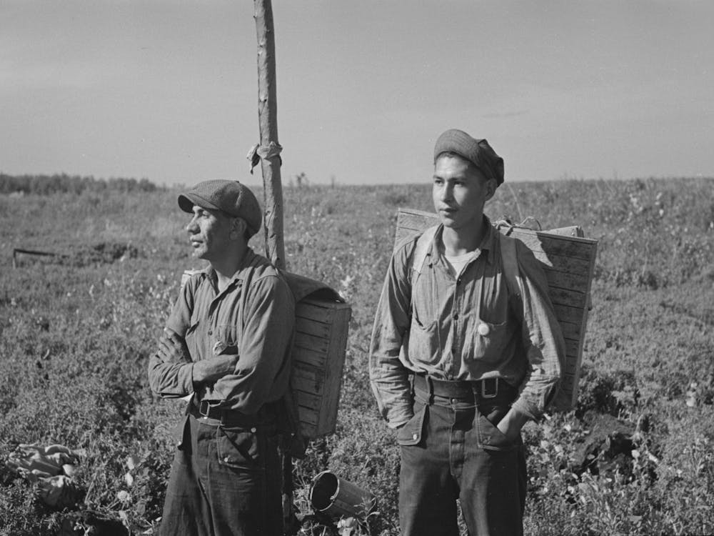 Blueberry Pickers With Full Load Near Little Fork, Minnesota By Russell Lee