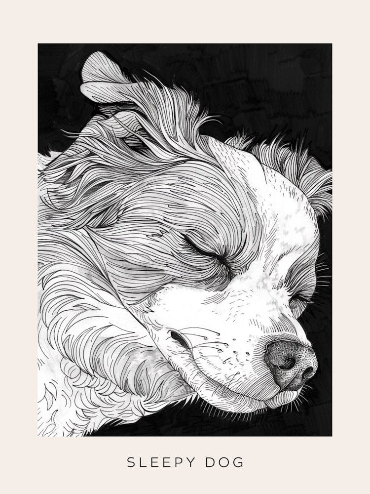 Sleepy Dog Line Art Black Background Poster