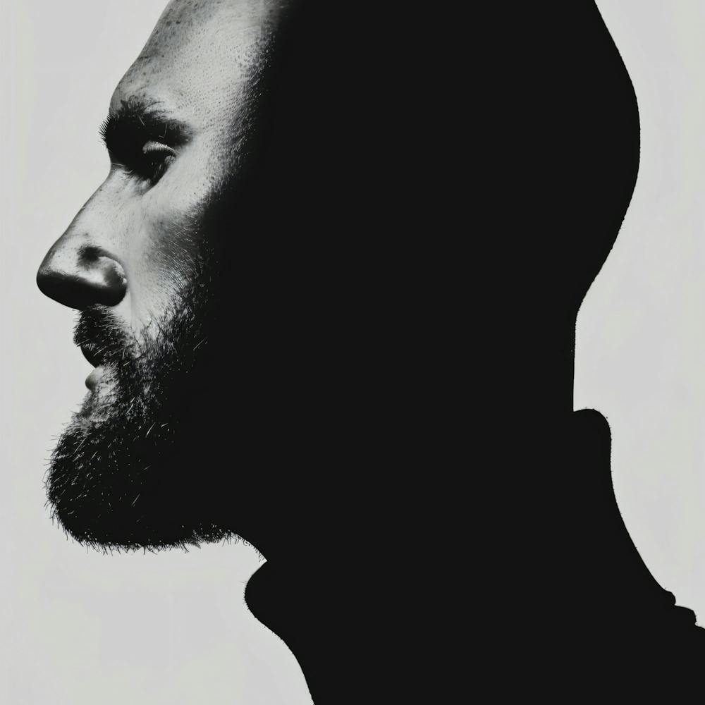 Silhouette Of A Man 2