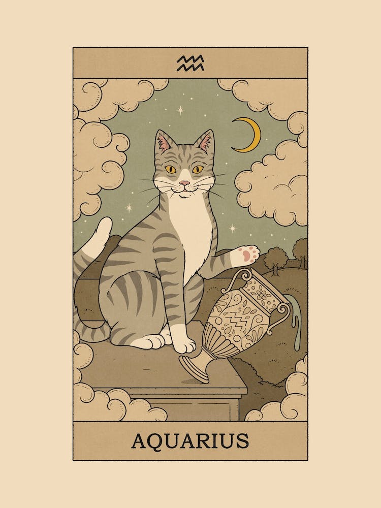Aquarius Cat