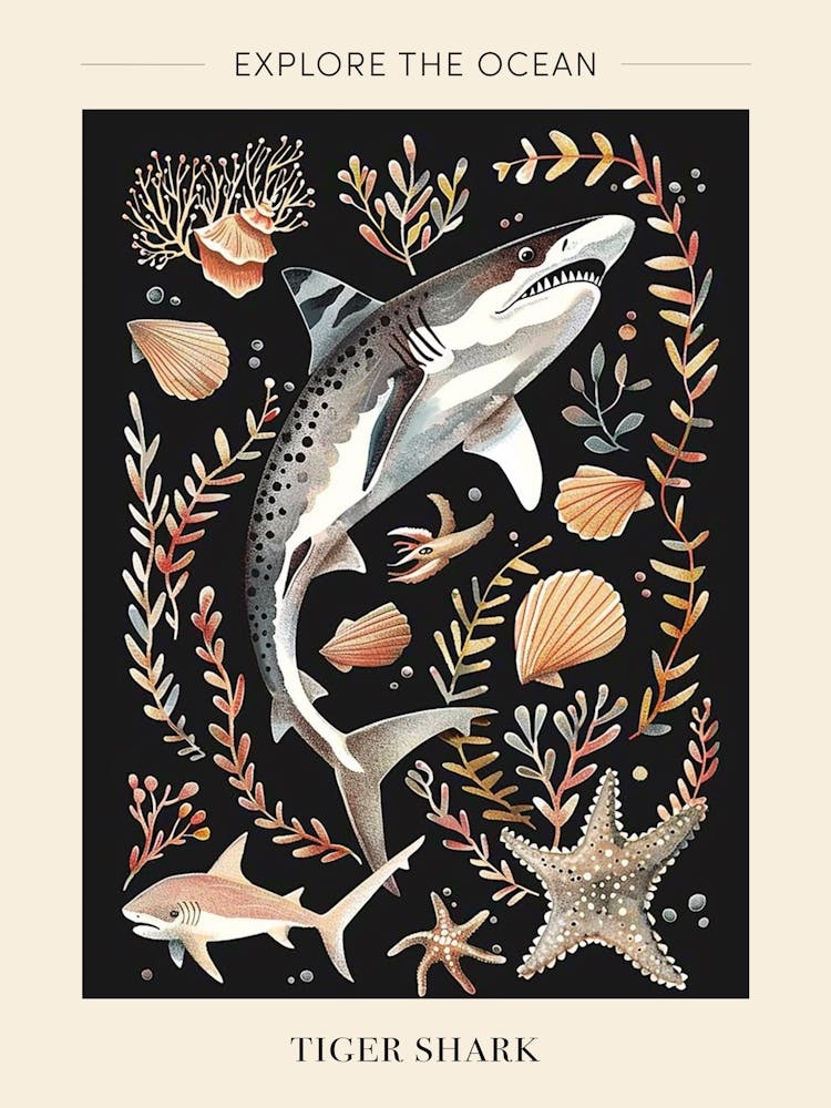 Tiger Shark Seascape Black Background Illustration 1 Poster