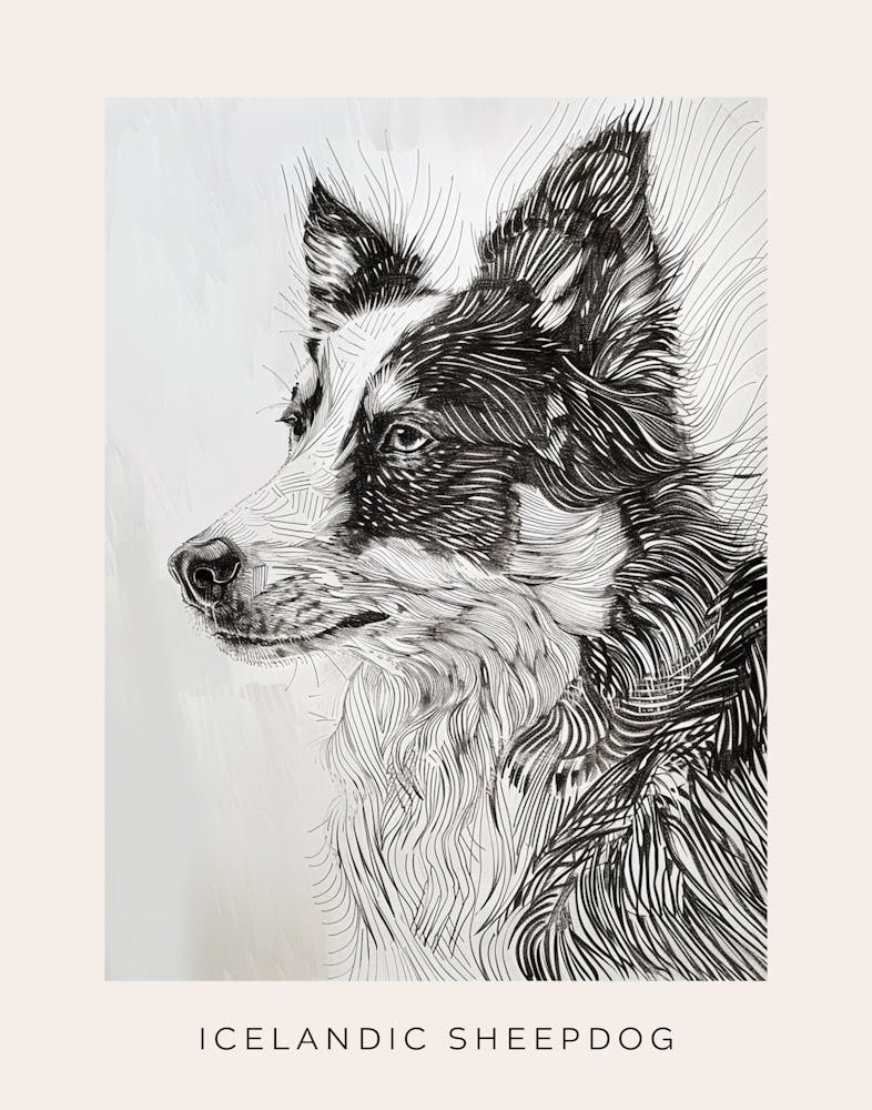 Icelandic Sheepdog Line Art 3 Poster