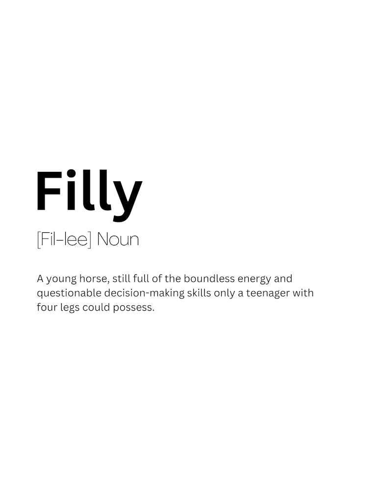 Filly Definition Meaning