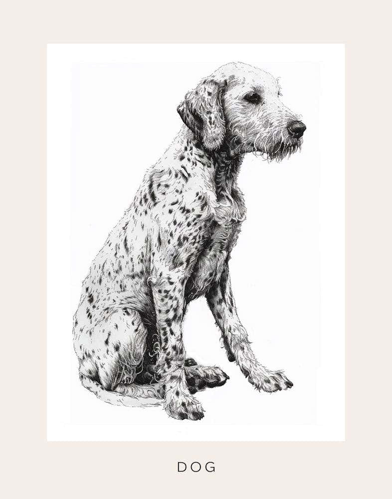 Hairy Dog Line Sketch 2 Poster