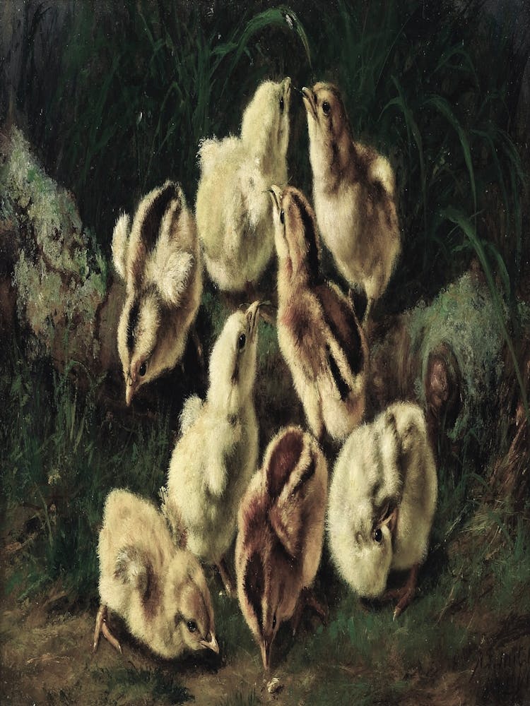 Küken