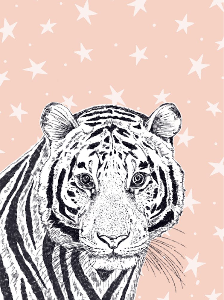 Tiger Print With Stars