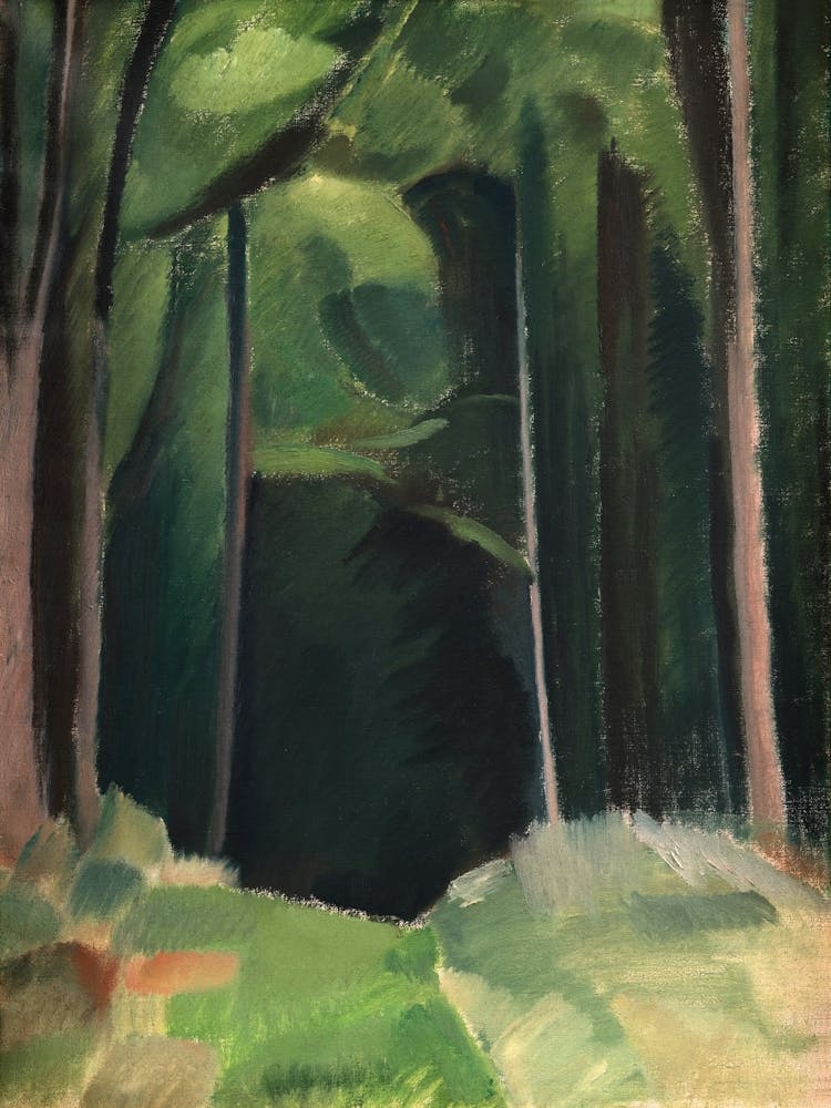 Path In The Woods