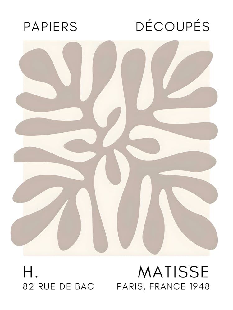 Matisse 24