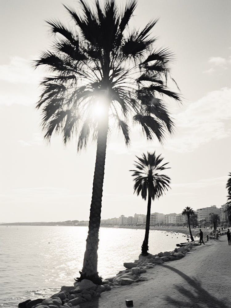 Cannes, France, Black And White Old Photo 1
