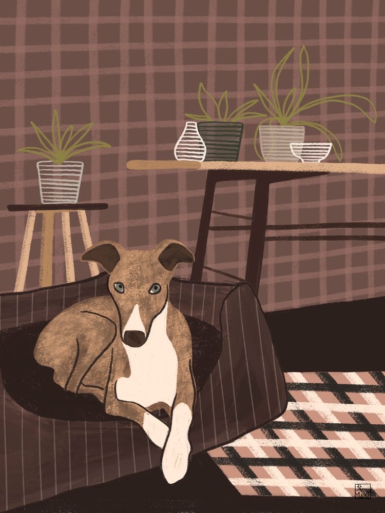 Dog In Living Room Pink