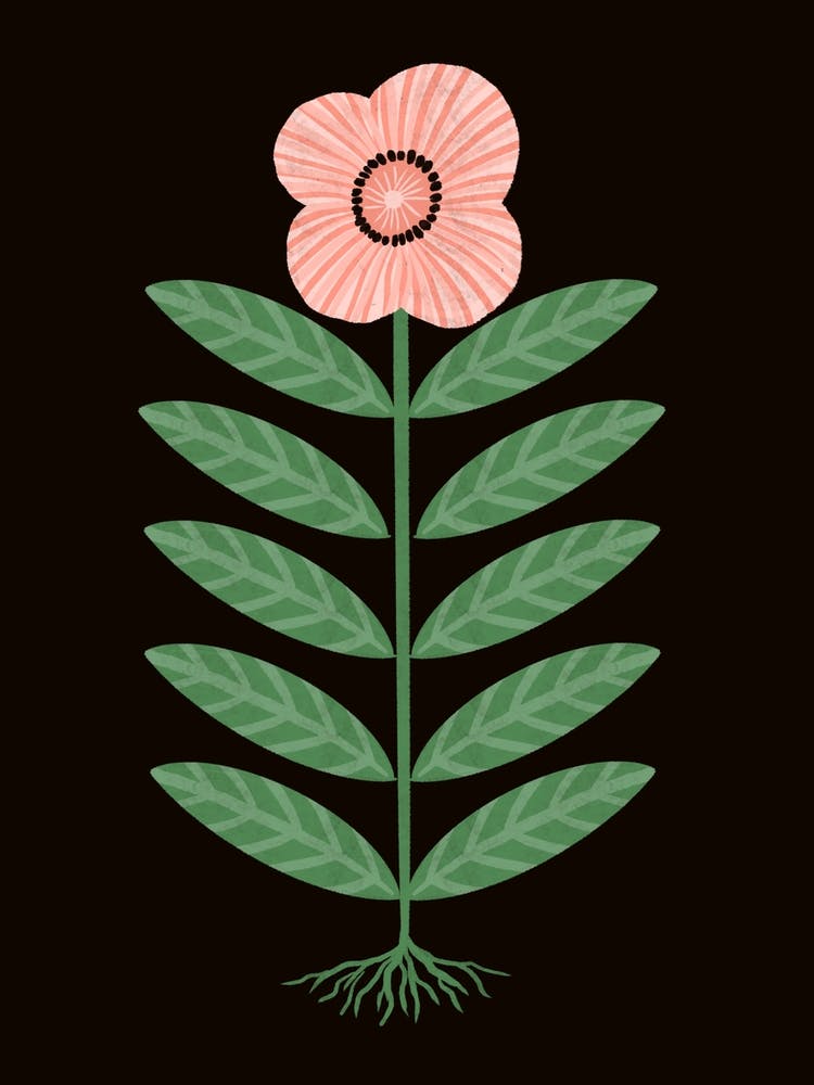 Pink Flower