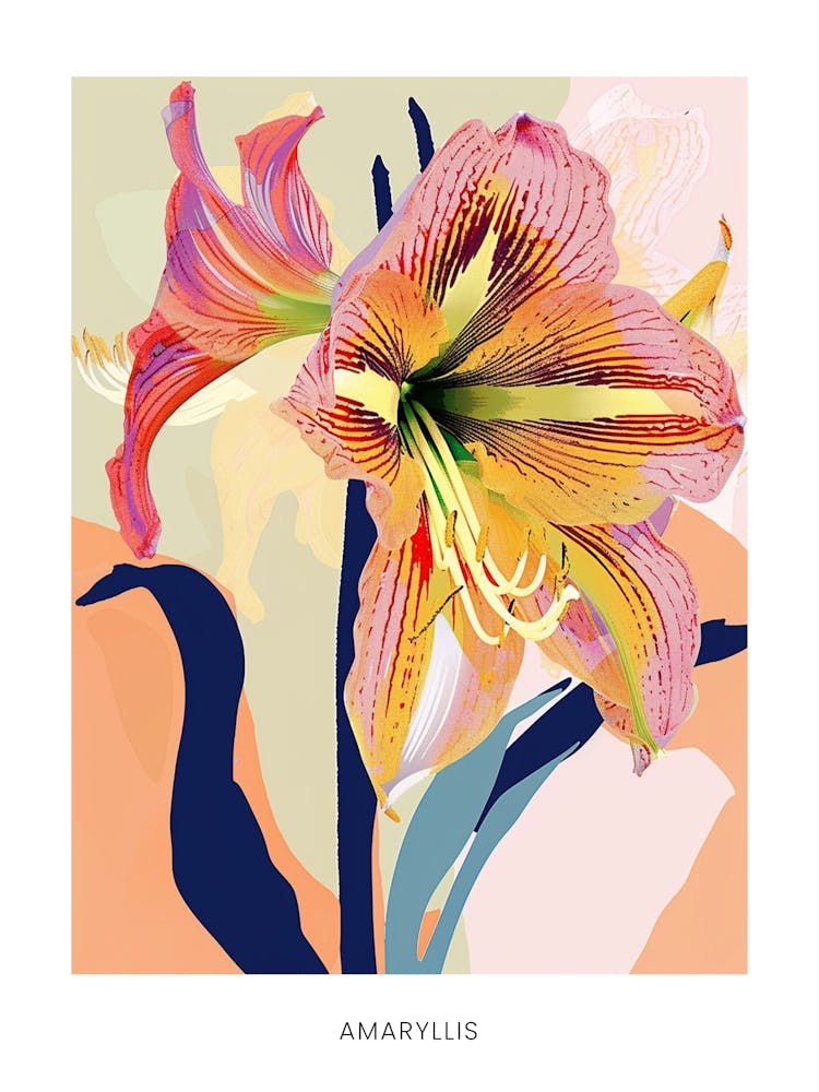 Colourful Flower Illustration Poster Amaryllis 8